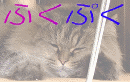 FUKUPUKU-BANNER.GIF