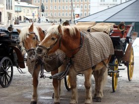 salzburg03