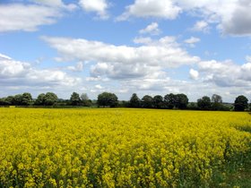 way_to_bibury02